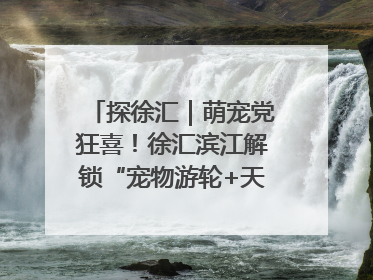 探徐汇｜萌宠党狂喜！徐汇滨江解锁“宠物游轮+天台乐园”双玩法