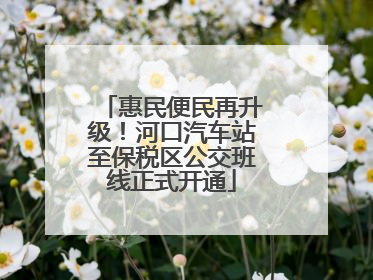 惠民便民再升级！河口汽车站至保税区公交班线正式开通