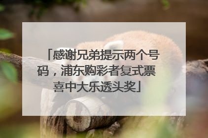 感谢兄弟提示两个号码，浦东购彩者复式票喜中大乐透头奖
