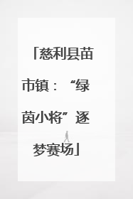 慈利县苗市镇：“绿茵小将”逐梦赛场