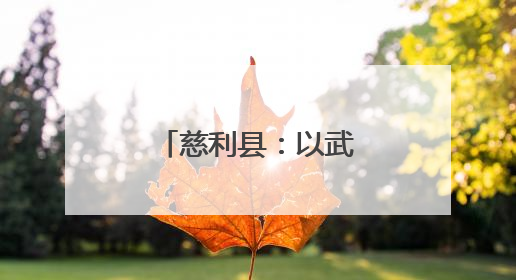 慈利县：以武会友 探索银发康养新模式