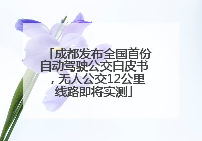 成都发布全国首份自动驾驶公交白皮书，无人公交12公里线路即将实测