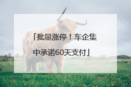 批量涨停！车企集中承诺60天支付