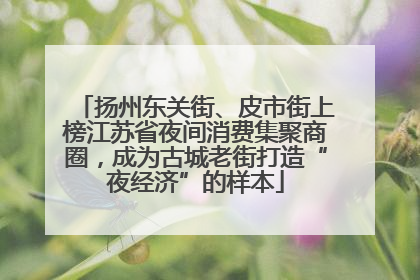 扬州东关街、皮市街上榜江苏省夜间消费集聚商圈，成为古城老街打造“夜经济”的样本