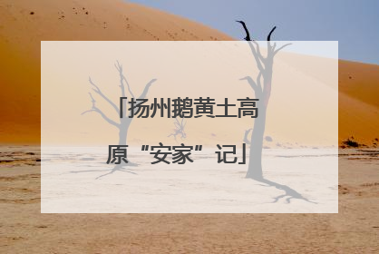 扬州鹅黄土高原“安家”记