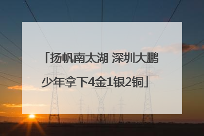 扬帆南太湖 深圳大鹏少年拿下4金1银2铜
