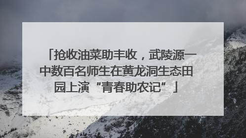 抢收油菜助丰收，武陵源一中数百名师生在黄龙洞生态田园上演“青春助农记”