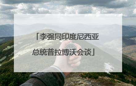 李强同印度尼西亚总统普拉博沃会谈