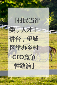 村民当评委，人才上讲台，望城区举办乡村CEO竞争性路演