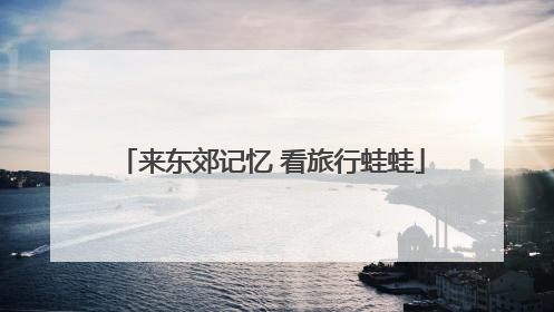 来东郊记忆 看旅行蛙蛙