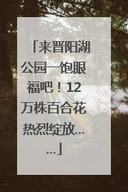 来晋阳湖公园一饱眼福吧！12万株百合花热烈绽放……