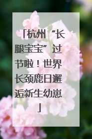 杭州“长腿宝宝”过节啦！世界长颈鹿日邂逅新生幼崽