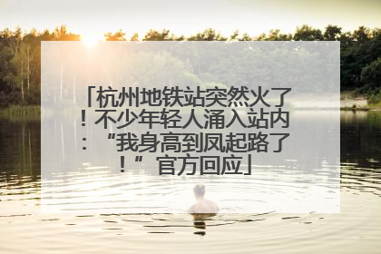 杭州地铁站突然火了！不少年轻人涌入站内：“我身高到凤起路了！”官方回应