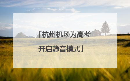 杭州机场为高考开启静音模式
