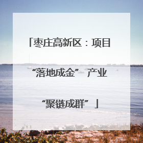 枣庄高新区：项目“落地成金” 产业“聚链成群”
