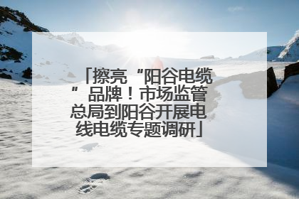 擦亮“阳谷电缆”品牌！市场监管总局到阳谷开展电线电缆专题调研