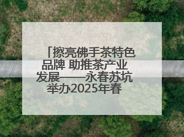 擦亮佛手茶特色品牌 助推茶产业发展——永春苏坑举办2025年春季佛手茶王赛