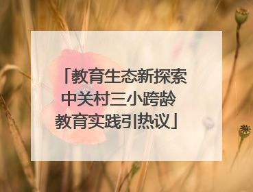 教育生态新探索 中关村三小跨龄教育实践引热议