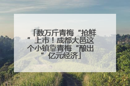 数万斤青梅“抢鲜”上市！成都大邑这个小镇靠青梅“酿出”亿元经济