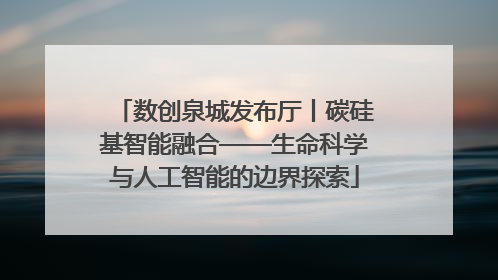 数创泉城发布厅丨碳硅基智能融合——生命科学与人工智能的边界探索
