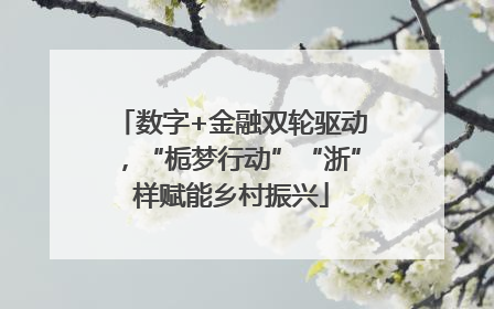 数字+金融双轮驱动，“栀梦行动”“浙”样赋能乡村振兴