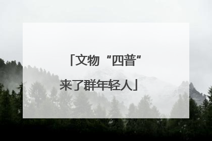 文物“四普”来了群年轻人