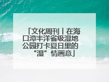 文化周刊丨在海口潭丰洋省级湿地公园打卡夏日里的“湿”情画意