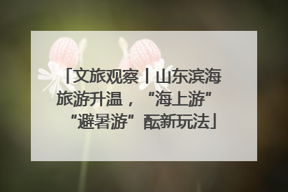 文旅观察丨山东滨海旅游升温，“海上游”“避暑游”酝新玩法