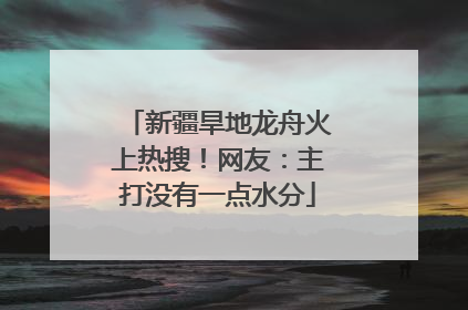 新疆旱地龙舟火上热搜！网友：主打没有一点水分