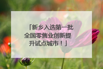 新乡入选第一批全国零售业创新提升试点城市！