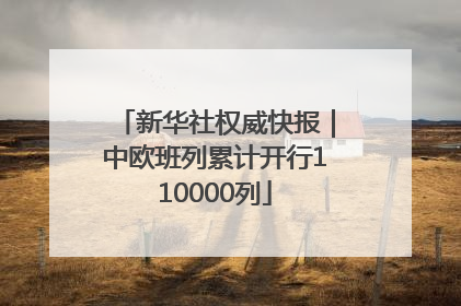 新华社权威快报｜中欧班列累计开行110000列
