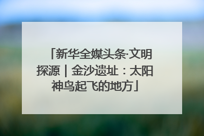 新华全媒头条·文明探源｜金沙遗址：太阳神鸟起飞的地方