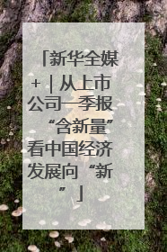 新华全媒+｜从上市公司一季报“含新量”看中国经济发展向“新”