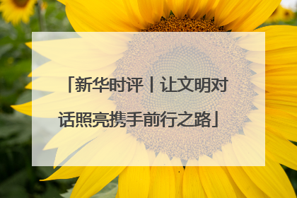 新华时评丨让文明对话照亮携手前行之路