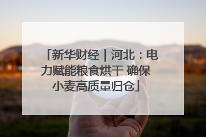 新华财经｜河北：电力赋能粮食烘干 确保小麦高质量归仓