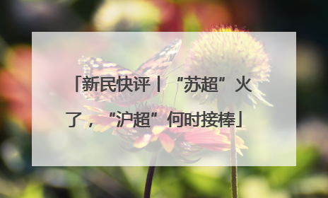 新民快评丨“苏超”火了，“沪超”何时接棒