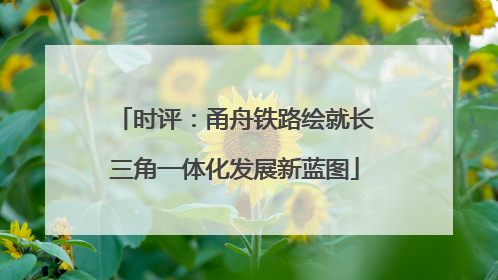 时评：甬舟铁路绘就长三角一体化发展新蓝图