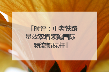 时评：中老铁路量效双增领跑国际物流新标杆