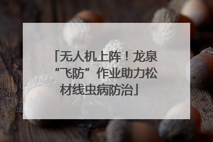 无人机上阵！龙泉“飞防”作业助力松材线虫病防治