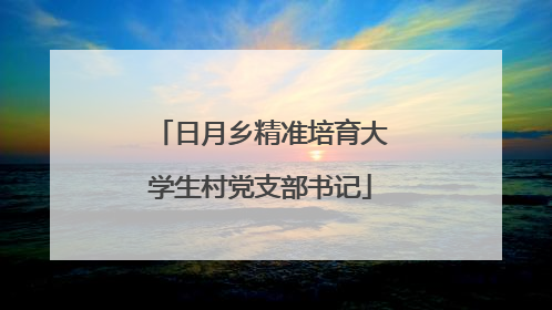 日月乡精准培育大学生村党支部书记