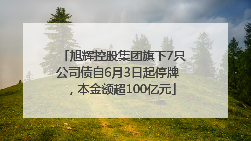 旭辉控股集团旗下7只公司债自6月3日起停牌，本金额超100亿元