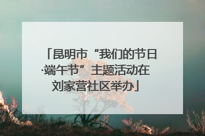 昆明市“我们的节日·端午节”主题活动在刘家营社区举办