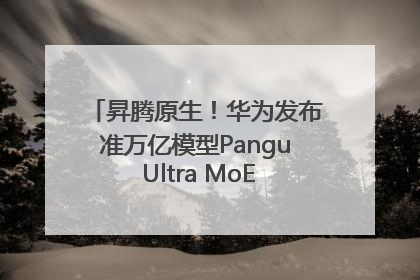 昇腾原生！华为发布准万亿模型Pangu Ultra MoE模型架构和训练细节