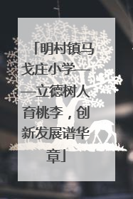明村镇马戈庄小学——立德树人育桃李，创新发展谱华章