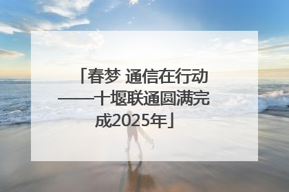 春梦 通信在行动——十堰联通圆满完成2025年