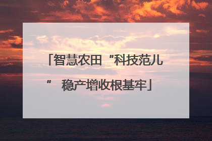 智慧农田“科技范儿” 稳产增收根基牢