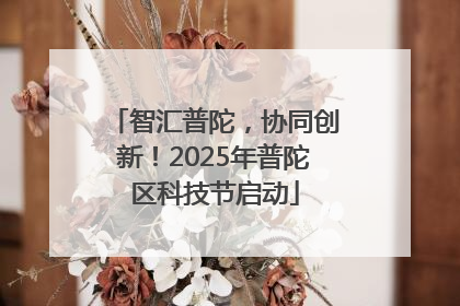 智汇普陀，协同创新！2025年普陀区科技节启动