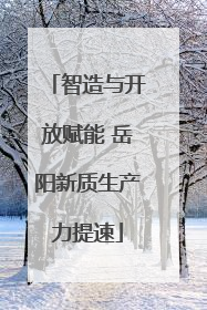 智造与开放赋能 岳阳新质生产力提速