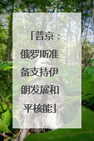 普京：俄罗斯准备支持伊朗发展和平核能