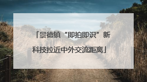 景德镇“即拍即识”新科技拉近中外交流距离